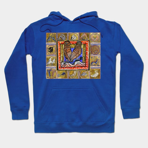 MEDIEVAL BESTIARY ,TWO OWLS, FANTASTIC ANIMALS IN GOLD RED BLUE COLORS Hoodie by BulganLumini